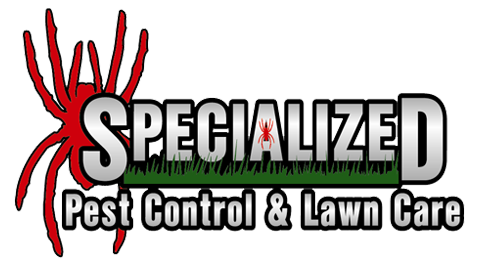 specialized pest and lawn