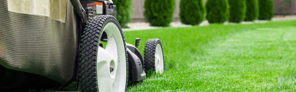 How To Buy Lawn Care Business Insurance Insureon
