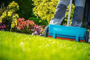 Mowing your spring lawn ensures it stays healthy and green in Northern Utah and Southern Idaho all year long. Learn more from Rentokil!