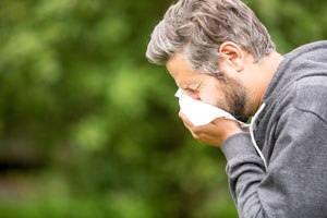 Pests may trigger your springtime allergies in Northern Utah and Southern Idaho - Rentokil