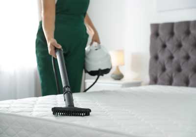Do it yourself bed bug treatment in Northern Utah - Rentokil